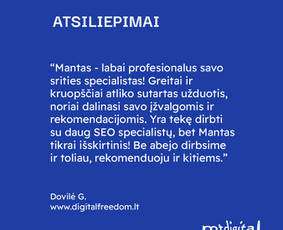 Seo, Ai Seo jūsų projektams. Nemokama konsultacija / Mantas Tamošaitis / Darbų pavyzdys ID 3030768