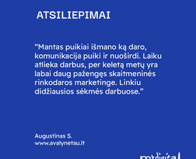 Seo, Ai Seo jūsų projektams. Nemokama konsultacija / Mantas Tamošaitis / Darbų pavyzdys ID 3030770
