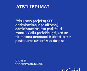 Seo, Ai Seo jūsų projektams. Nemokama konsultacija / Mantas Tamošaitis / Darbų pavyzdys ID 3030772