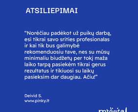 Seo, Ai Seo jūsų projektams. Nemokama konsultacija / Mantas Tamošaitis / Darbų pavyzdys ID 3030774