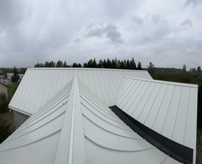 Stogu dengimas, mediniai/skardiniai fasadai, terasos. / JunMar / Darbų pavyzdys ID 3030782