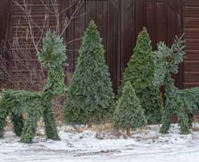 Kalėdinių Dekoracijų Nuoma / JUNGLE FLORA / Darbų pavyzdys ID 3033728