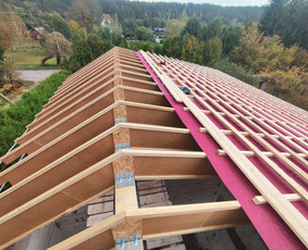 Stogų Dengimas, Stogų Darbai, Stogų Šiltinimas Vata-pirplokš / Anton / Darbų pavyzdys ID 3034596