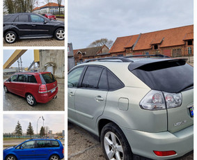 Automobilių nuoma nuo 10eur Klaipeda / E.S / Darbų pavyzdys ID 3034652