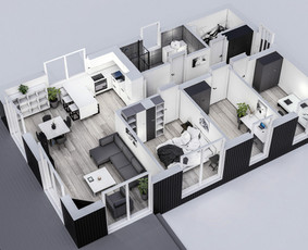 3d Vizualizacijos / 3d planai / Interjero Vizualizacija / Emilis Adomaitis / Darbų pavyzdys ID 3035548