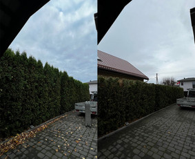 Medžių pjovimas-genėjimas/gyvatvorių karpymas / MB Medžio Kvapas / Darbų pavyzdys ID 3039684