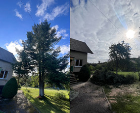 Medžių pjovimas-genėjimas/gyvatvorių karpymas - Medžių genėjimas, pjovimas - 3 Medžių genėjimas, pjovimas - Medžių pjovimas-genėjimas/gyvatvorių karpymas - 3