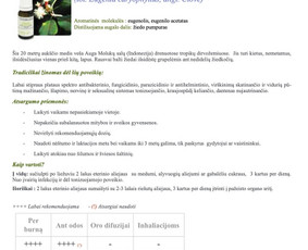 Gitana Railienė, Seo tekstų kūrimas svetainėms, visa Lietuva / Gitana Railienė / Darbų pavyzdys ID 567891