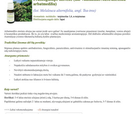 Gitana Railienė, Seo tekstų kūrimas svetainėms, visa Lietuva / Gitana Railienė / Darbų pavyzdys ID 567913
