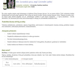 Gitana Railienė, Seo tekstų kūrimas svetainėms, visa Lietuva / Gitana Railienė / Darbų pavyzdys ID 567917