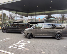 Keleivių pervežimas mikroautobusais su vairuotoju / TRANSFERSLTU / Darbų pavyzdys ID 3051104