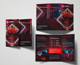 Skrajutės maketavimas - Grafikos dizainerė - 1