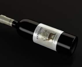 Produktų pakuočių, etikečių kūrimas - Grafikos dizainerė - 4