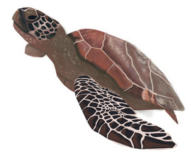 Knygų iliustravimas - Grafikos dizainerė - 1