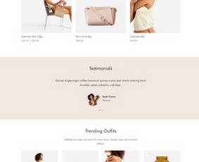 Interneto svetainių kūrimas, e-shop, Seo optimizacija / Tomas Bagačiūnas / Darbų pavyzdys ID 3051940