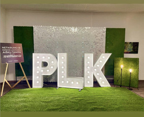 Foto sienelių bei kitų dekoracijų nuoma / Showroomas / Darbų pavyzdys ID 3054932