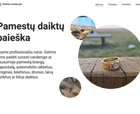 Freelancer * Wordpress svetainių kūrimas / Gintarė Rumianceva / Darbų pavyzdys ID 3055068