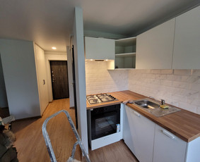 Greitai, nebrangiai, ir kokybiskai / Vaidas Lapiniauskas / Darbų pavyzdys ID 3057472