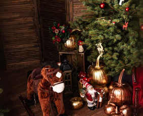 Kėnio šakos, kalėdinės sidabrinės eglutės ir kėniai vazonee / Sandra / Darbų pavyzdys ID 3058048