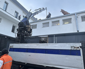 Nuo pamatų iki raktų! / RENOVACIJA-REKONSTRUKCIJA / Darbų pavyzdys ID 3063352