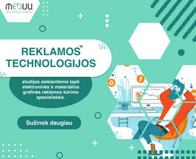 Svetainių, El. parduotuvių, Seo, logotipo ir reklamų kūrimas / Tautvydas Zaurynas / Darbų pavyzdys ID 3065198