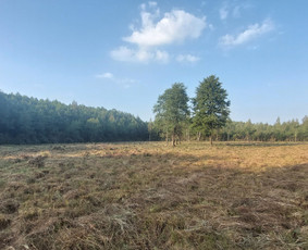 Ilgalaikė aplinkos priežiūra daugiabučiams ir verslui / Mantas Ruginis / Darbų pavyzdys ID 3066480