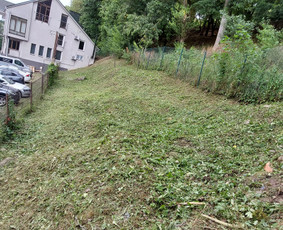 Ilgalaikė aplinkos priežiūra daugiabučiams ir verslui / Mantas Ruginis / Darbų pavyzdys ID 3066498