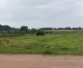 Ilgalaikė aplinkos priežiūra daugiabučiams ir verslui / Mantas Ruginis / Darbų pavyzdys ID 3066546