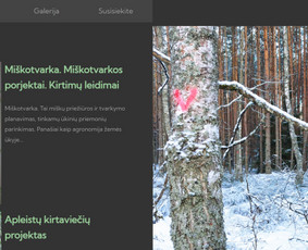 Interneto svetainių kūrimas, El. parduotuvių kūrimas - HTML/CSS kodavimas - 1 HTML/CSS kodavimas - Interneto svetainių kūrimas, El. parduotuvių kūrimas - 1