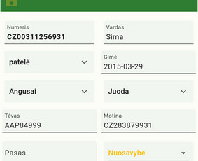 Programavimas - android,laravel,symfony,prestashop,wordpress / Remigijus Karoblis / Darbų pavyzdys ID 3067282