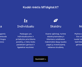 Seo, Ai Seo jūsų projektams. Nemokama konsultacija / Mantas Tamošaitis / Darbų pavyzdys ID 3068088