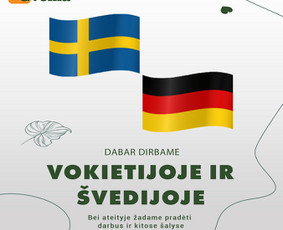 Svetainių, El. parduotuvių, Seo, logotipo ir reklamų kūrimas / Tautvydas Zaurynas / Darbų pavyzdys ID 3068214