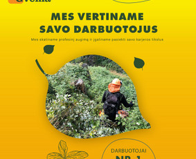 Svetainių, El. parduotuvių, Seo, logotipo ir reklamų kūrimas / Tautvydas Zaurynas / Darbų pavyzdys ID 3068216