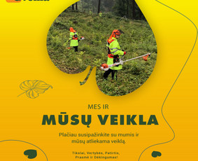Svetainių, El. parduotuvių, Seo, logotipo ir reklamų kūrimas / Tautvydas Zaurynas / Darbų pavyzdys ID 3068218