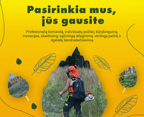 Svetainių, El. parduotuvių, Seo, logotipo ir reklamų kūrimas / Tautvydas Zaurynas / Darbų pavyzdys ID 3068220