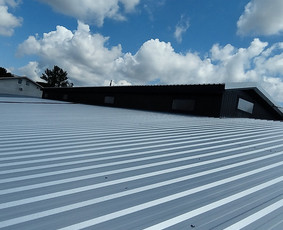 Statybos ir renovacijos darbai / Stogų dengimas, karkasai / Darbų pavyzdys ID 3068474