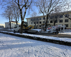 Pagalba kelyje,tralas,fiskaro pervežimai Klaipėda / Erento MB / Darbų pavyzdys ID 3068972
