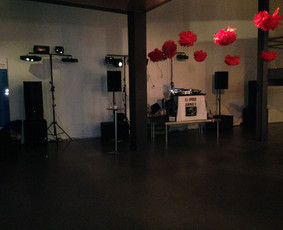 Dj. paslaugos / Garso ir apšvietimo įranga /(Vedėjas) / Aurimas Voras / Darbų pavyzdys ID 3070268