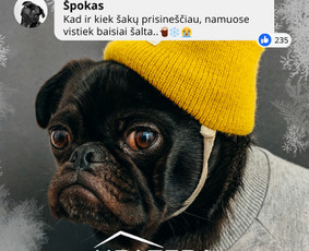 Socialinių tinklų Fb/ig/tiktok administravimas. Pro - Komunikacija socialiniuose tinkluose - 2 Komunikacija socialiniuose tinkluose - Socialinių tinklų Fb/ig/tiktok administravimas. Pro - 2