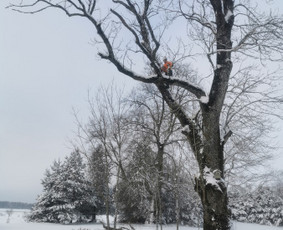 Aukštuminiai darbai / MB vertical boys / Darbų pavyzdys ID 3071934