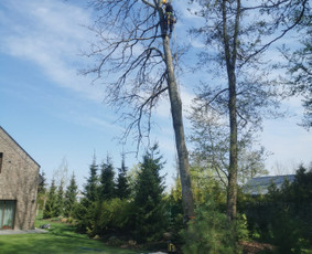 Aukštuminiai darbai / MB vertical boys / Darbų pavyzdys ID 3071942