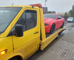 Traliuko paslaugos Kaune ir visoje Lietuvoje. / Mb Markemis / Darbų pavyzdys ID 3072312