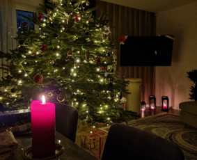 Kėnio šakos, kalėdinės sidabrinės eglutės ir kėniai vazonee / Sandra / Darbų pavyzdys ID 3072564
