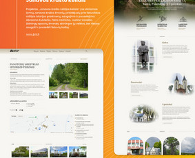 Svetainių dizainas (web design) - Internetinių web projektų kūrimas, ekomercija, programavimas - 2