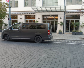 Keleivių pervežimas mikroautobusais su vairuotoju / TRANSFERSLTU / Darbų pavyzdys ID 3074790