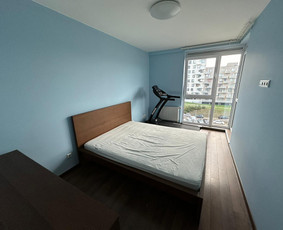 Vidaus apdaila. / Vilius / Darbų pavyzdys ID 3078464