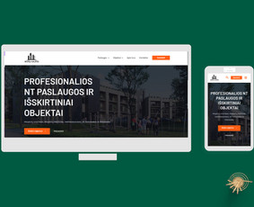 Svetainių, El. parduotuvių, Seo, logotipo ir reklamų kūrimas / Tautvydas Zaurynas / Darbų pavyzdys ID 3078578