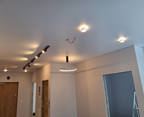 Patyrę elektrikai / Žydrūnas Bakšys / Darbų pavyzdys ID 3081098