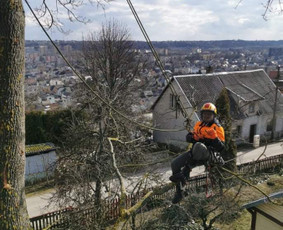 Avarinių medžių pjovimas/ žolės pjovimas. / Arboristas Egidijus / Darbų pavyzdys ID 3081354