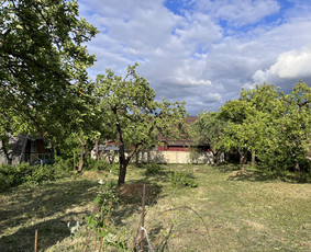 Avarinių medžių pjovimas/ žolės pjovimas. / Arboristas Egidijus / Darbų pavyzdys ID 3081356